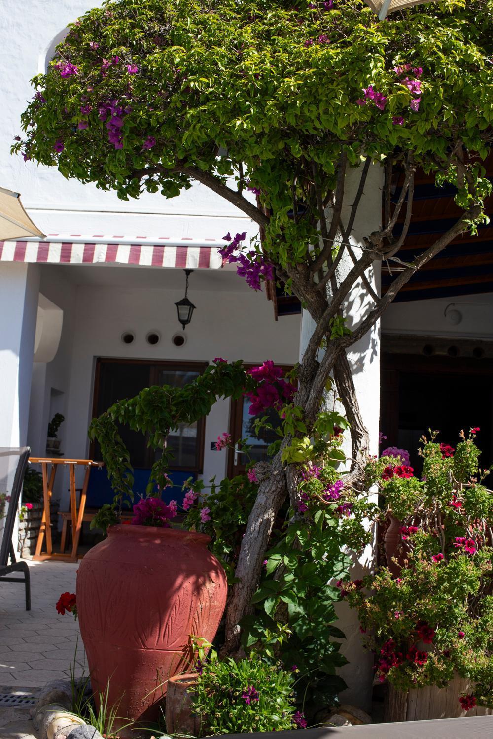 Uzhan Beach Hotel Bitez Exterior photo