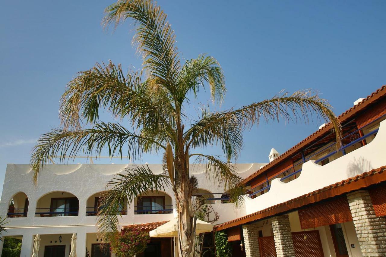 Uzhan Beach Hotel Bitez Exterior photo
